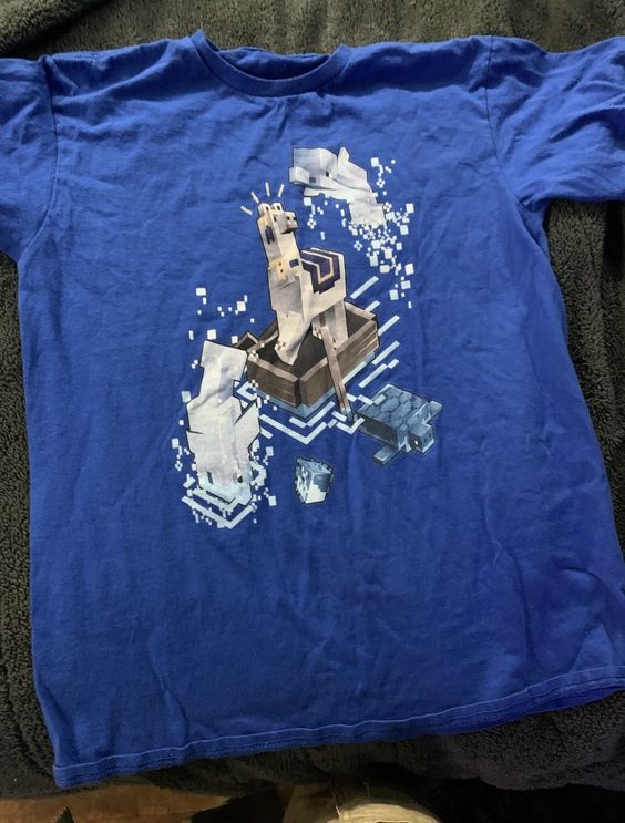 Minecraft Blue shirt outfit